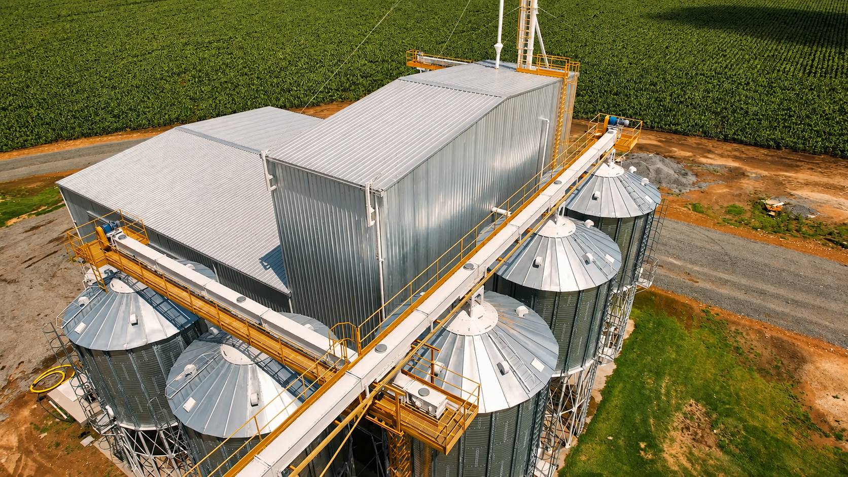 Vista aérea de una fábrica compacta de alimento balanceado al borde de un lote sembrado, con silos galvanizados, pasarelas y galpón de proceso