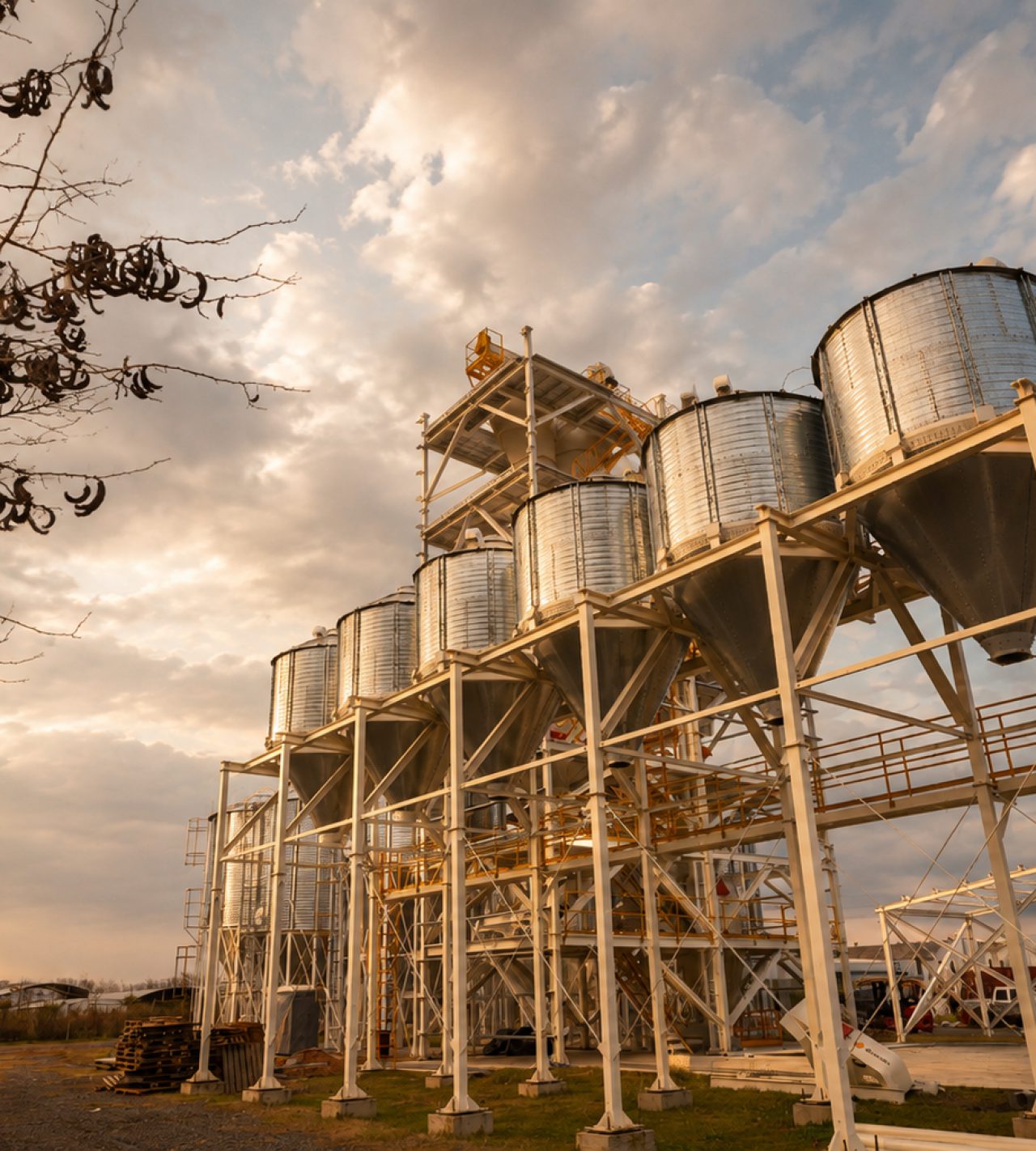Silos de expedición de una planta de alimento balanceado